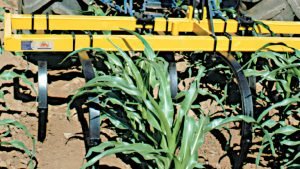 Cultivador de Enxadas