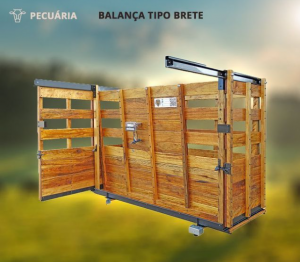 Balança Tipo Brete